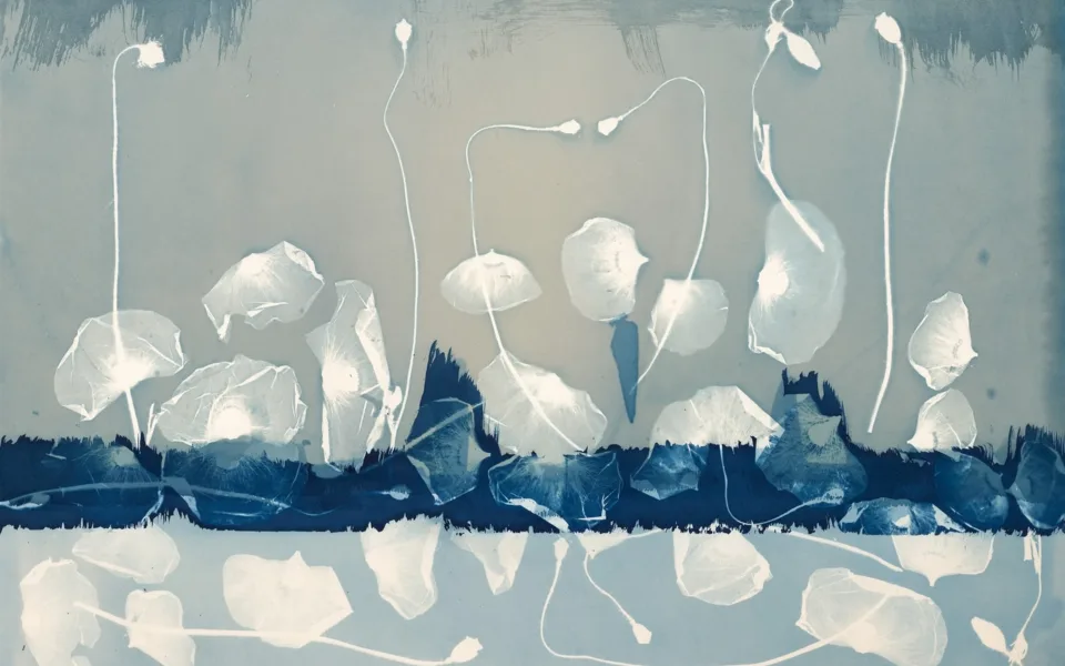 Illuminating Nature: The Cyanotype Art of Madge Evers