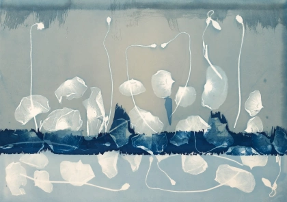 Illuminating Nature: The Cyanotype Art of Madge Evers